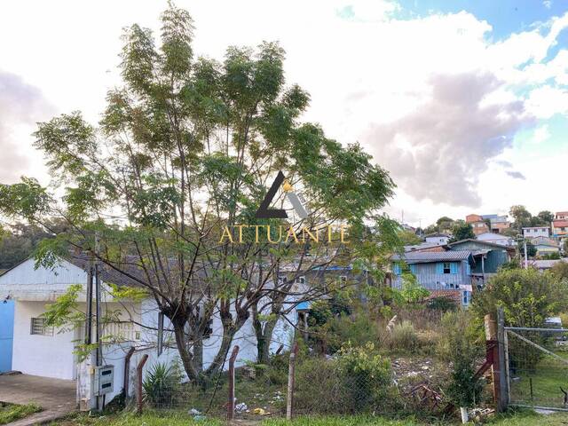 Terreno para Venda em Caxias do Sul - 2