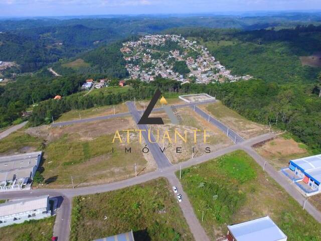Terreno para Venda em Caxias do Sul - 4