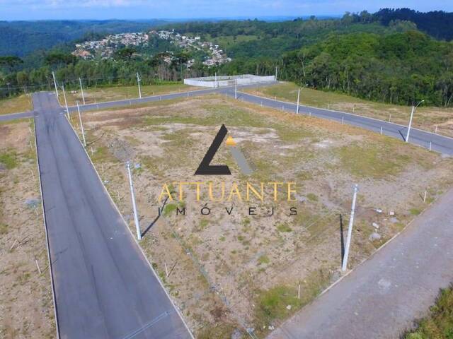 Terreno para Venda em Caxias do Sul - 5