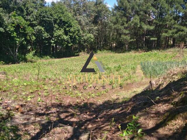 #TR1951 - Terreno para Venda em Caxias do Sul - RS - 2