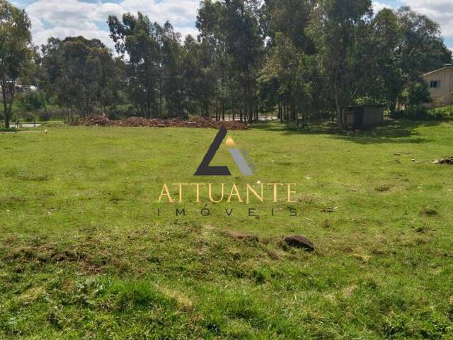 Terreno para Venda em Caxias do Sul - 3