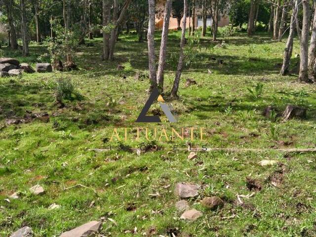 Terreno para Venda em Caxias do Sul - 4