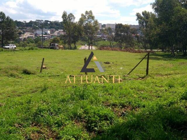 Terreno para Venda em Caxias do Sul - 5