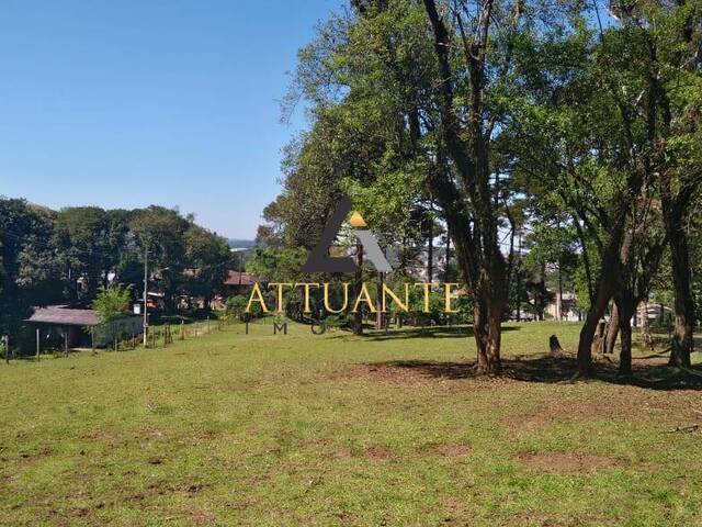 #TR1971 - Terreno para Venda em Caxias do Sul - RS