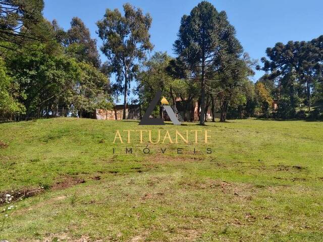 Terreno para Venda em Caxias do Sul - 4