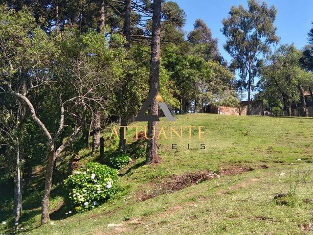 #TR1971 - Terreno para Venda em Caxias do Sul - RS