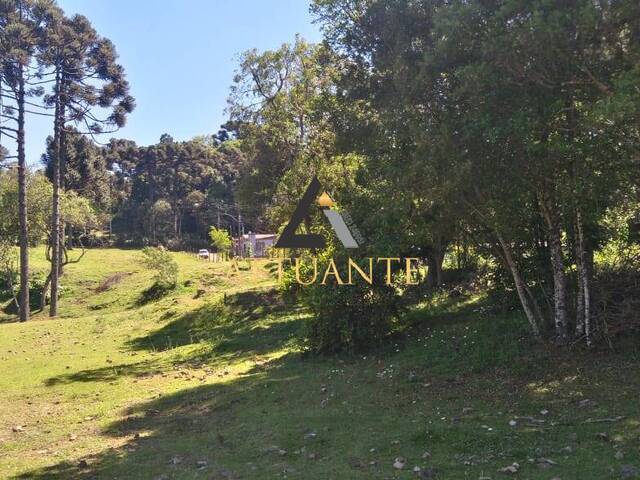 Terreno para Venda em Caxias do Sul - 5