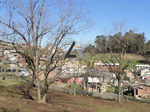Terreno para Venda em Caxias do Sul - 4