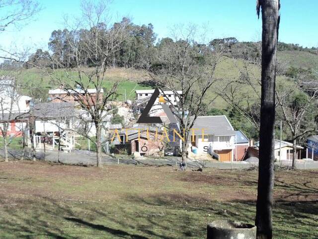 Terreno para Venda em Caxias do Sul - 5