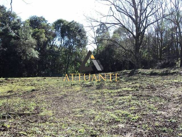 #TR1977 - Terreno para Venda em Caxias do Sul - RS - 3