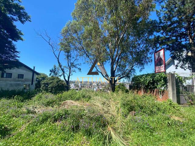 Terreno para Venda em Caxias do Sul - 3