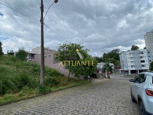 Terreno para Venda em Caxias do Sul - 4