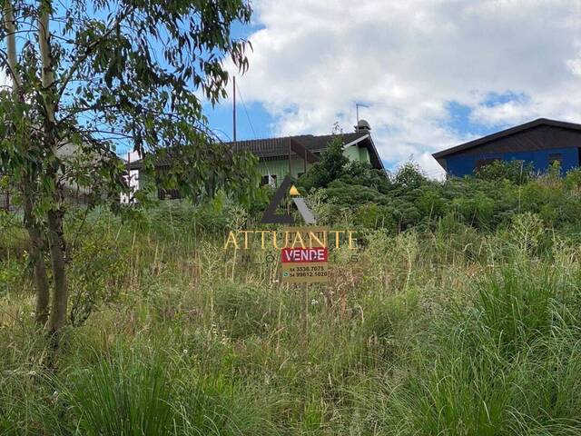 Terreno para Venda em Caxias do Sul - 2