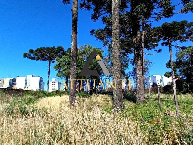 #TR2103 - Terreno para Venda em Caxias do Sul - RS - 1