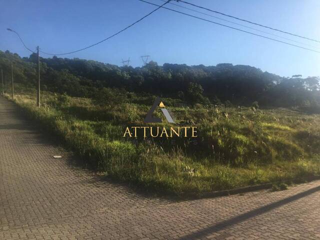 Terreno para Venda em Caxias do Sul - 2