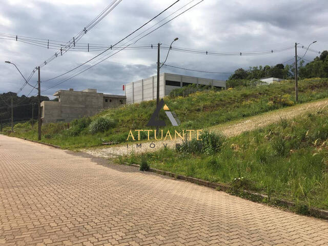 Terreno para Venda em Caxias do Sul - 3