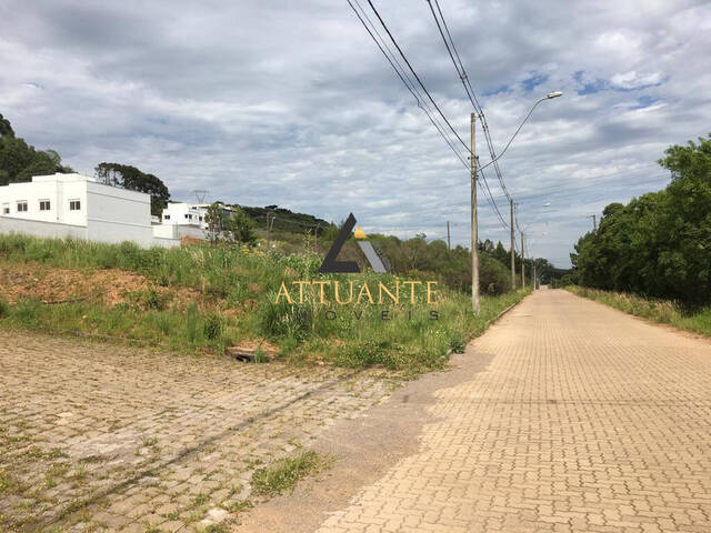 Terreno para Venda em Caxias do Sul - 4