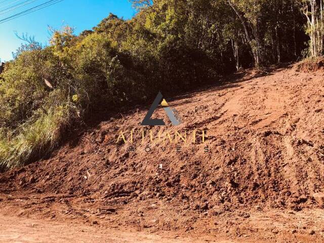 Terreno para Venda em Caxias do Sul - 2