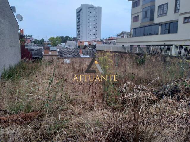 Terreno para Venda em Caxias do Sul - 2