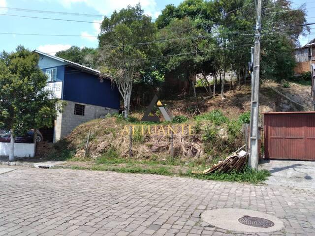 Terreno para Venda em Caxias do Sul - 3
