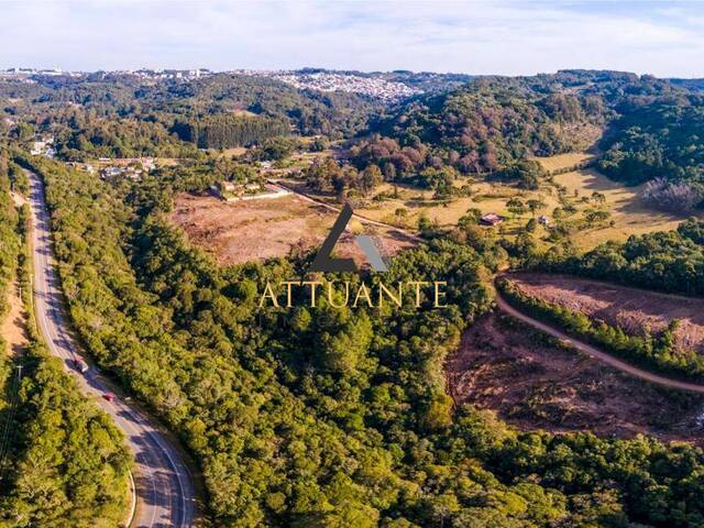 Terreno para Venda em Caxias do Sul - 4