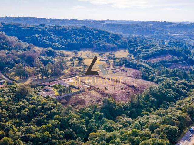 Terreno para Venda em Caxias do Sul - 5