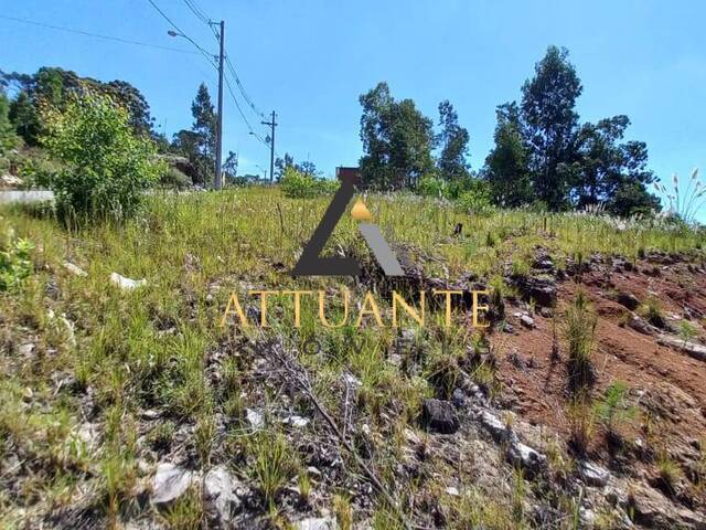 #TR2288 - Terreno para Venda em Caxias do Sul - RS