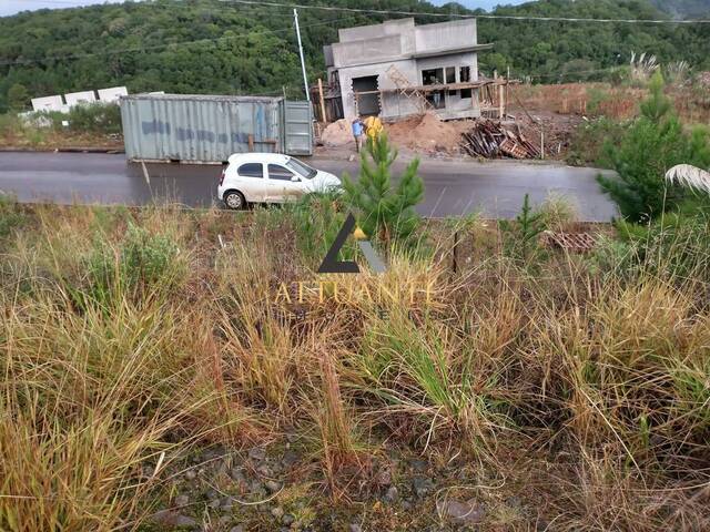 Terreno para Venda em Caxias do Sul - 3