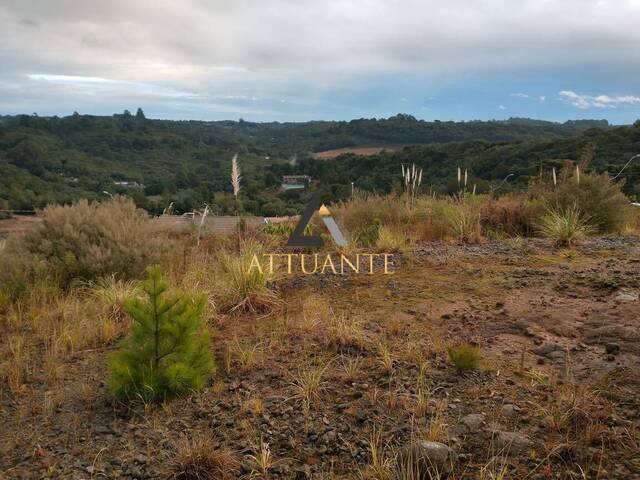 Terreno para Venda em Caxias do Sul - 2