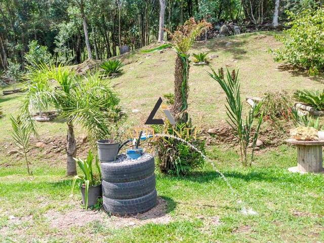 Chácara para Venda em Farroupilha - 4