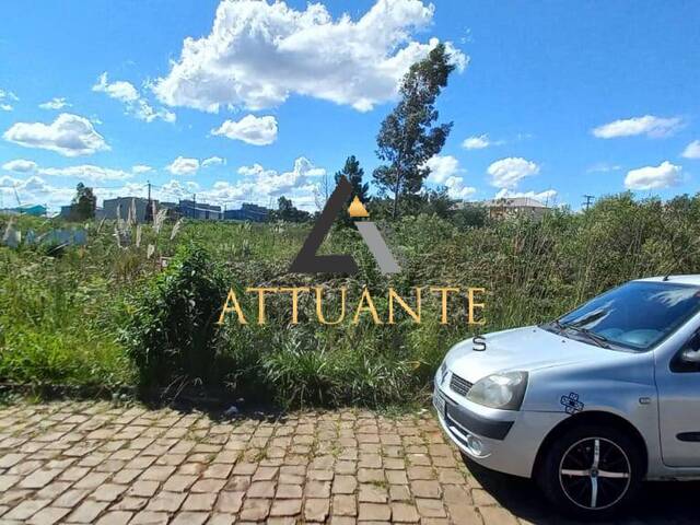 Terreno para Venda em Caxias do Sul - 2