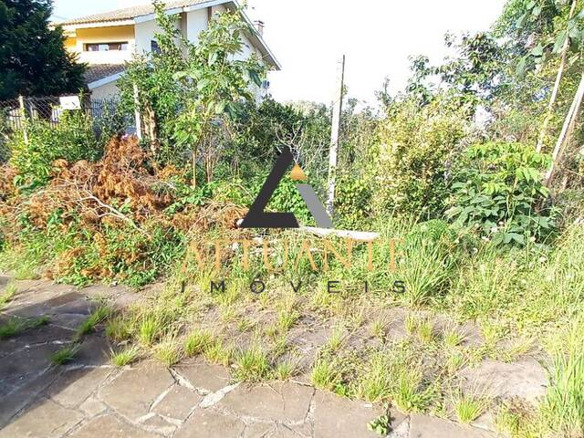#TR2393 - Terreno para Venda em Caxias do Sul - RS - 3