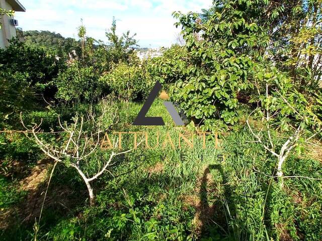 Terreno para Venda em Caxias do Sul - 4