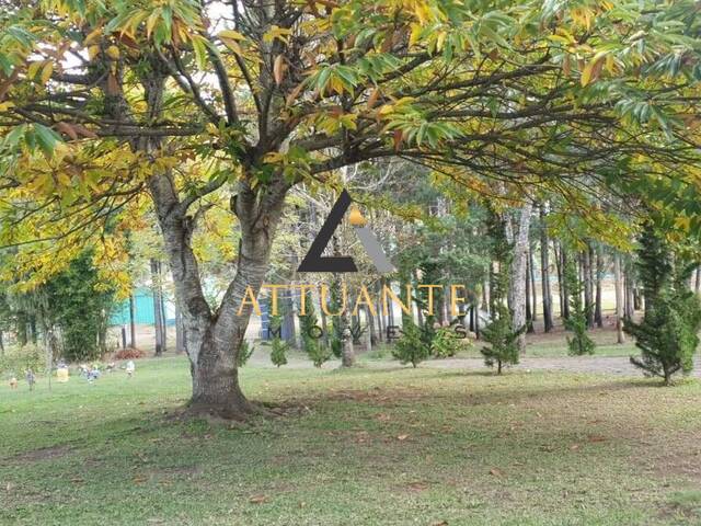 Chácara para Venda em São Francisco de Paula - 4