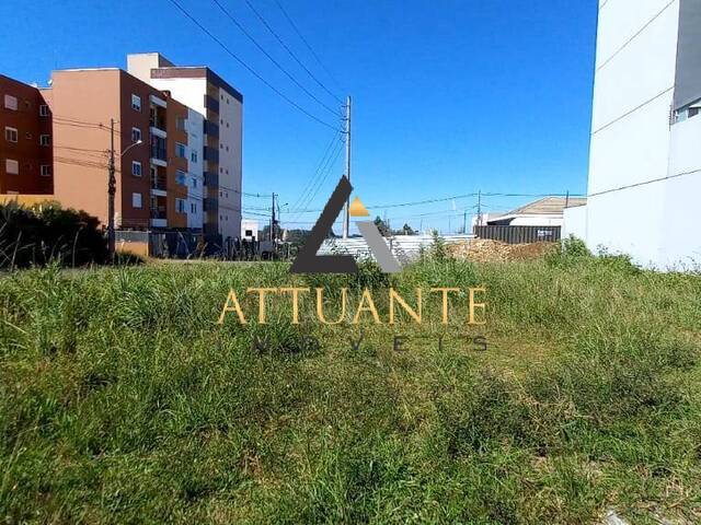 Terreno para Venda em Caxias do Sul - 2