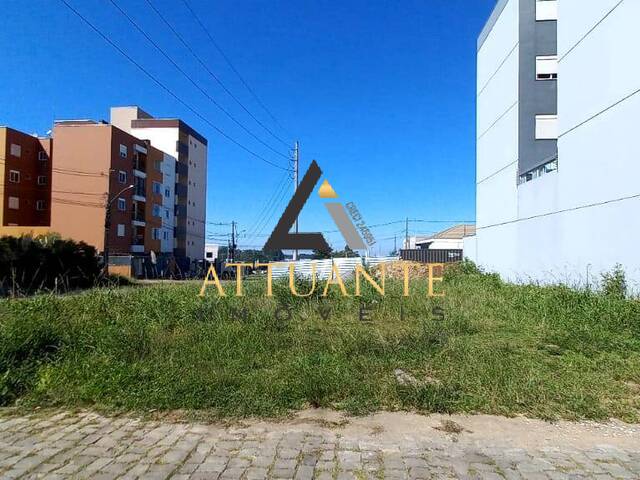 Terreno para Venda em Caxias do Sul - 3