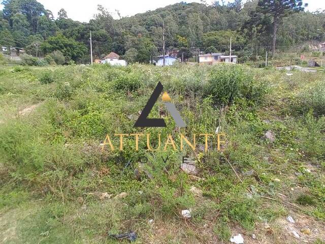 #TR2421 - Terreno para Venda em Caxias do Sul - RS - 2