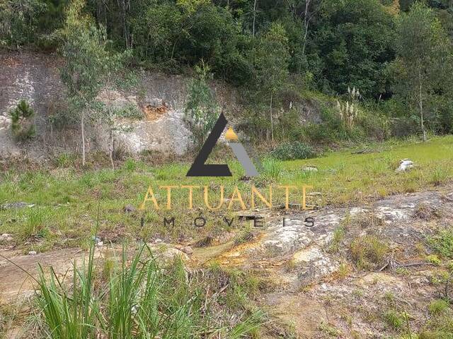 Terreno para Venda em Caxias do Sul - 2