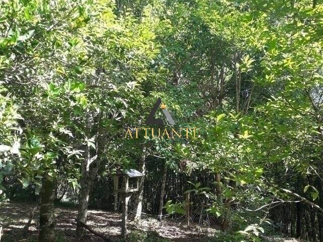 Chácara para Venda em Caxias do Sul - 3