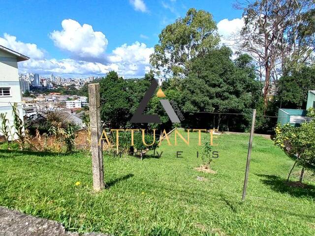 Terreno para Venda em Caxias do Sul - 4