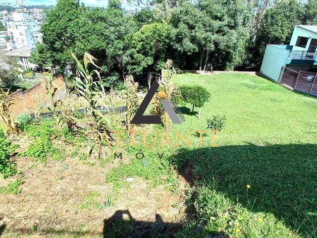 #TR2454 - Terreno para Venda em Caxias do Sul - RS - 2