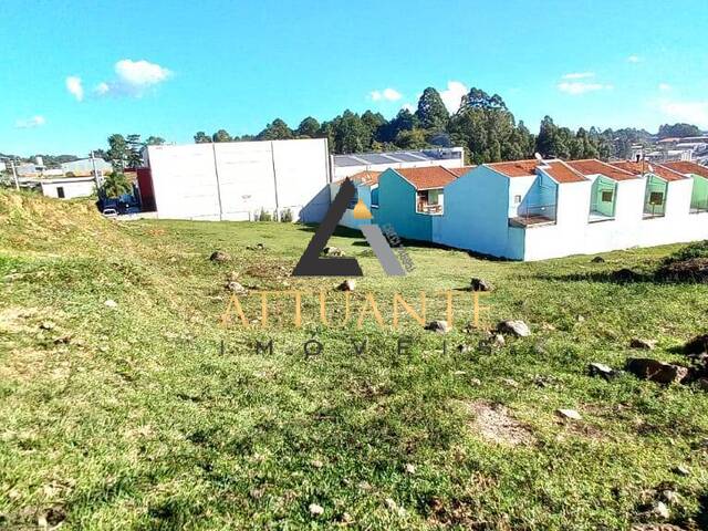 #TR2455 - Terreno para Venda em Caxias do Sul - RS - 2
