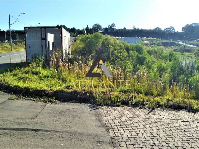 Terreno para Venda em Caxias do Sul - 3