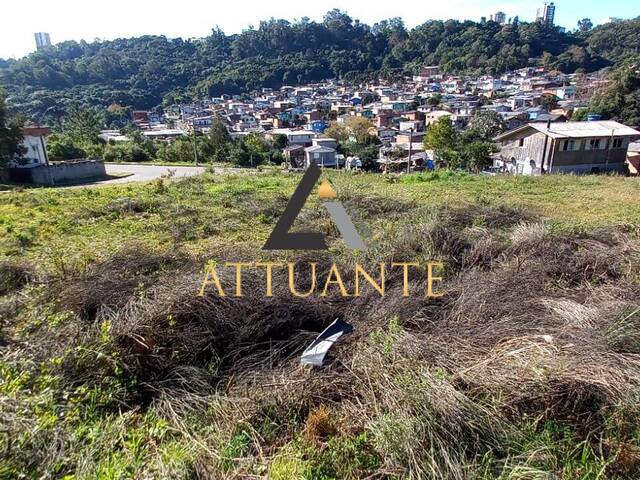 Terreno para Venda em Caxias do Sul - 2