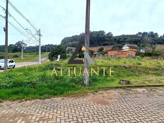 Terreno para Venda em Caxias do Sul - 4