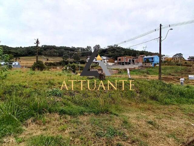 #TR2539 - Terreno para Venda em Caxias do Sul - RS - 3
