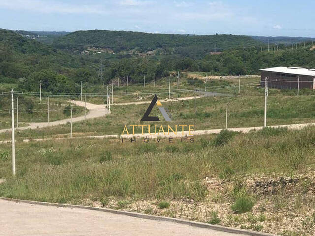 Terreno para Venda em Caxias do Sul - 5