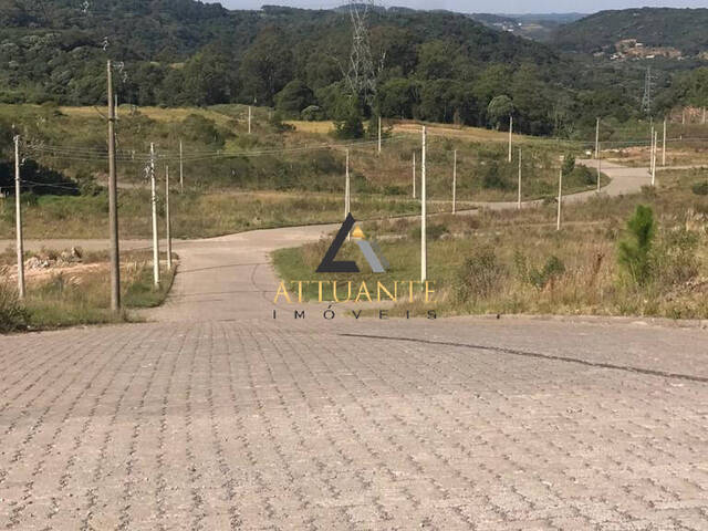 Terreno para Venda em Caxias do Sul - 3
