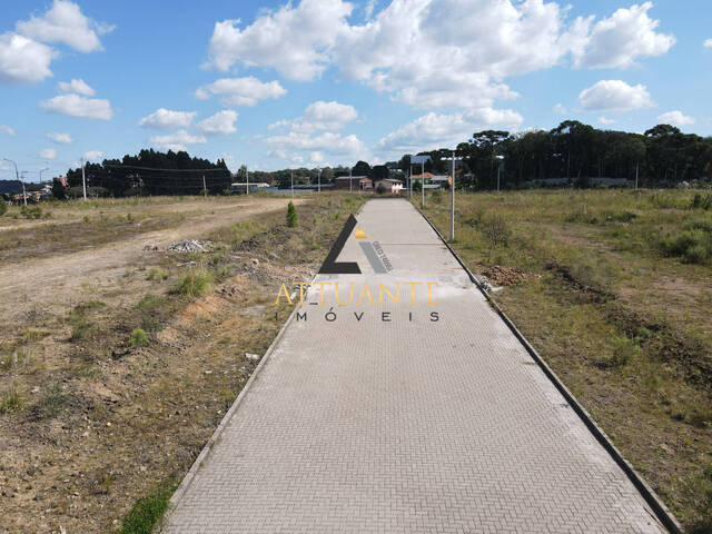 Terreno para Venda em Caxias do Sul - 4