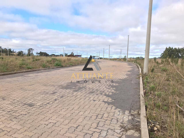Terreno para Venda em Caxias do Sul - 5